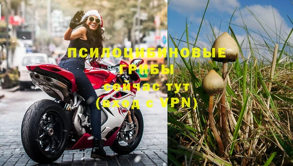 apvp Абаза