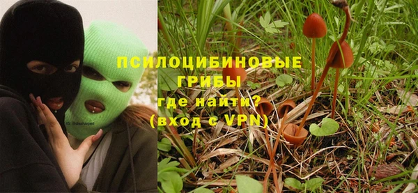 apvp Абаза