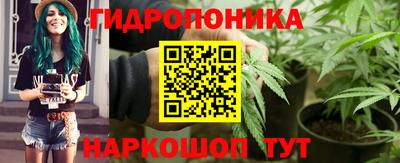 метадон Гусев