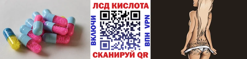 kraken вход  Магнитогорск  Лсд 25 экстази кислота  закладка 